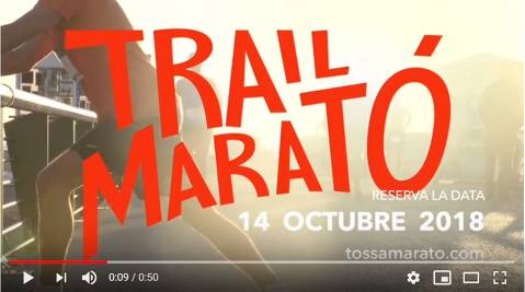 Salida carrera 2017